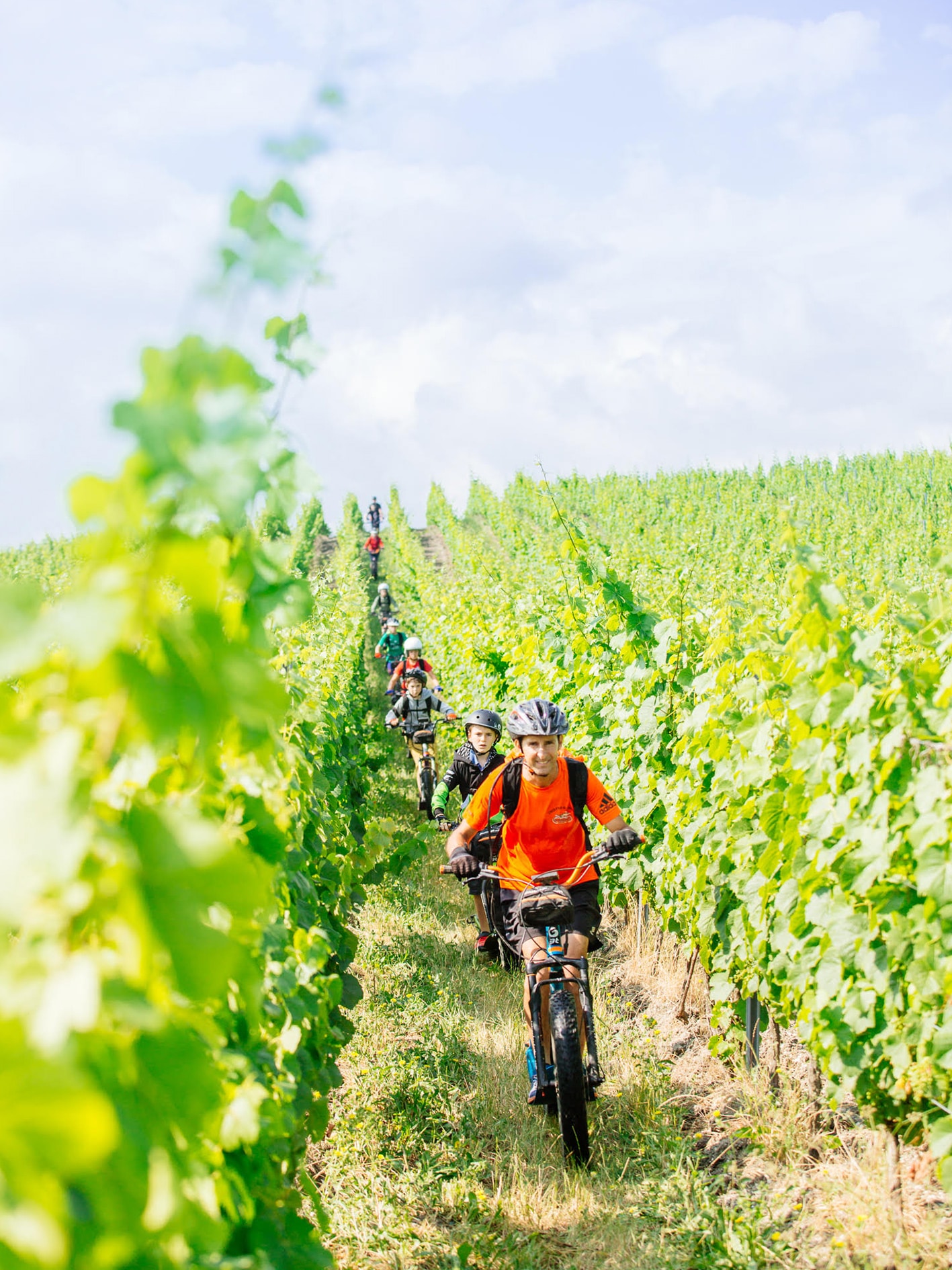 Best of Bergerac Domaine du Siorac