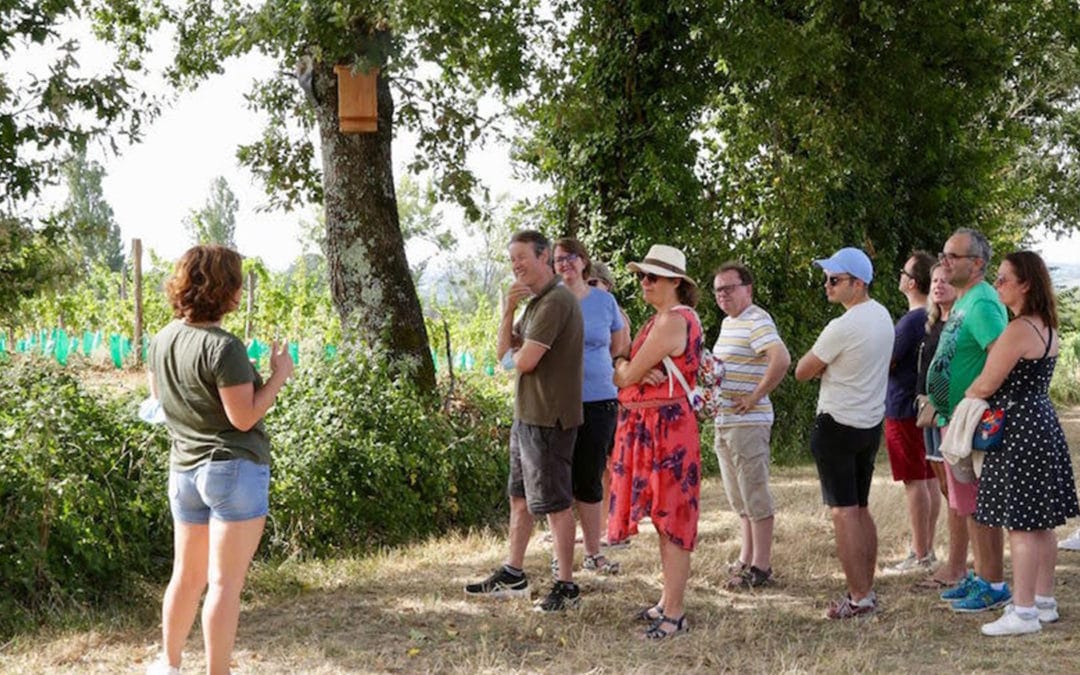 Balade commentée du vignoble