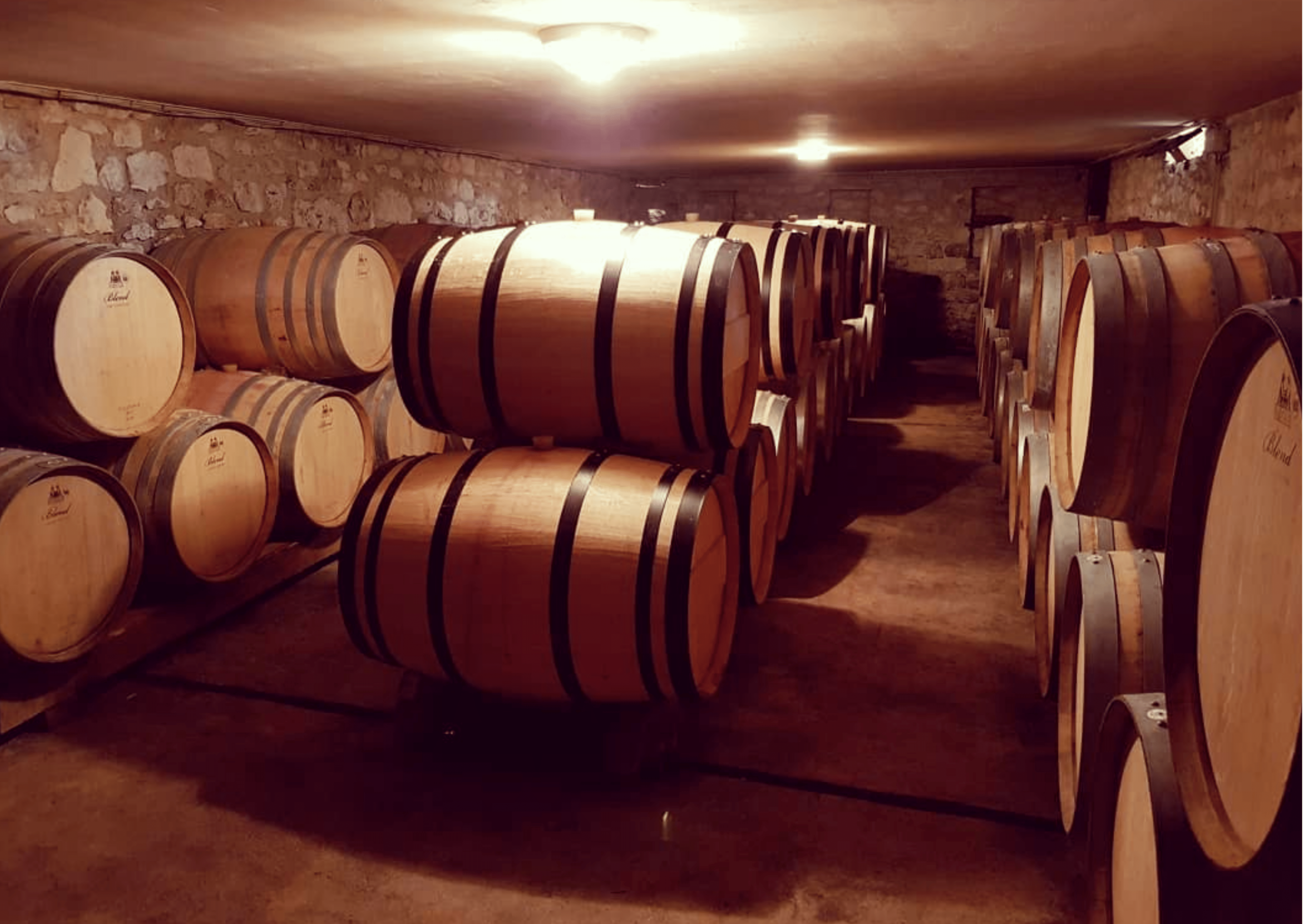 Best of Bergerac vin bio Pomport domaine Grange Neuve